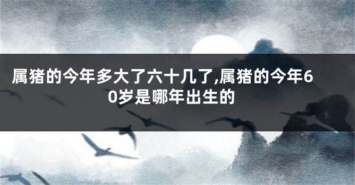 属猪的今年多大了六十几了,属猪的今年60岁是哪年出生的
