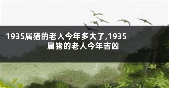 1935属猪的老人今年多大了,1935属猪的老人今年吉凶