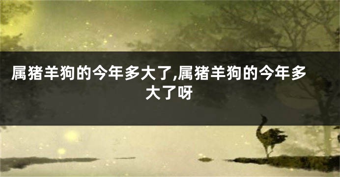 属猪羊狗的今年多大了,属猪羊狗的今年多大了呀