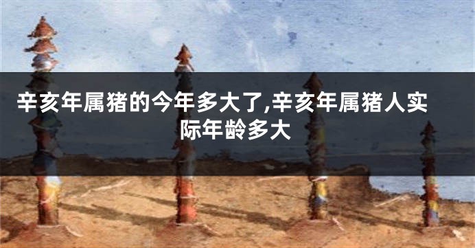 辛亥年属猪的今年多大了,辛亥年属猪人实际年龄多大