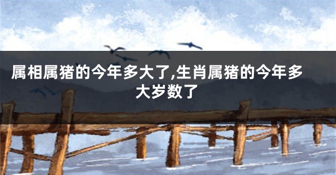 属相属猪的今年多大了,生肖属猪的今年多大岁数了