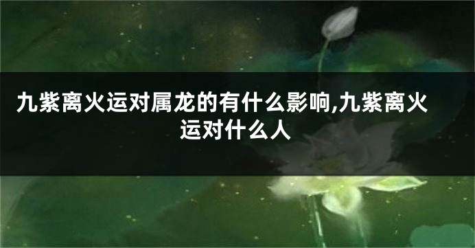 九紫离火运对属龙的有什么影响,九紫离火运对什么人