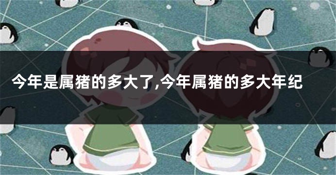 今年是属猪的多大了,今年属猪的多大年纪