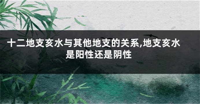 十二地支亥水与其他地支的关系,地支亥水是阳性还是阴性