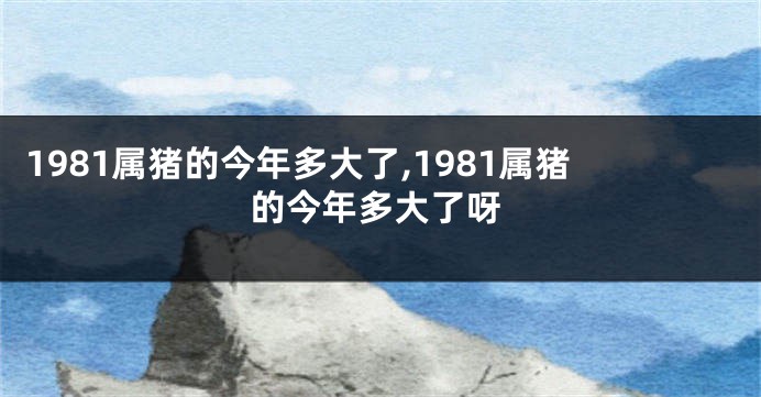 1981属猪的今年多大了,1981属猪的今年多大了呀