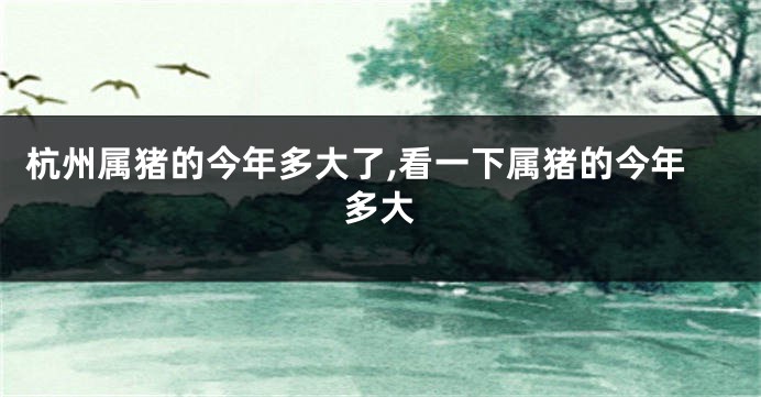 杭州属猪的今年多大了,看一下属猪的今年多大
