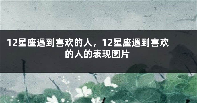 12星座遇到喜欢的人，12星座遇到喜欢的人的表现图片