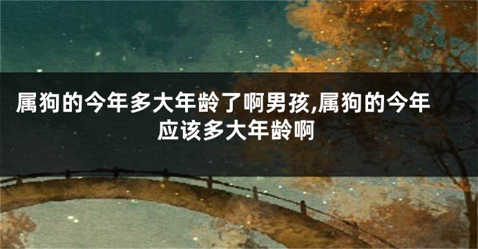 属狗的今年多大年龄了啊男孩,属狗的今年应该多大年龄啊