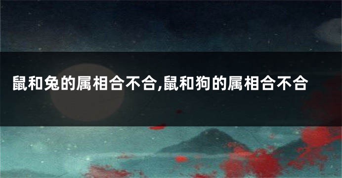 鼠和兔的属相合不合,鼠和狗的属相合不合
