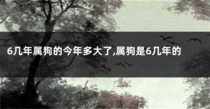 6几年属狗的今年多大了,属狗是6几年的