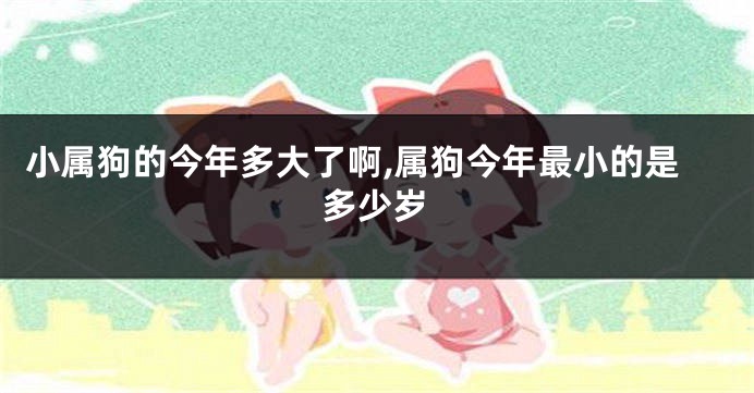 小属狗的今年多大了啊,属狗今年最小的是多少岁