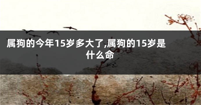 属狗的今年15岁多大了,属狗的15岁是什么命