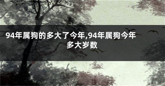 94年属狗的多大了今年,94年属狗今年多大岁数