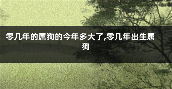 零几年的属狗的今年多大了,零几年出生属狗