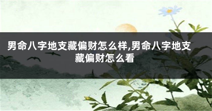 男命八字地支藏偏财怎么样,男命八字地支藏偏财怎么看