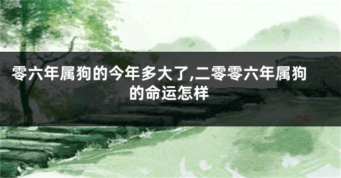 零六年属狗的今年多大了,二零零六年属狗的命运怎样