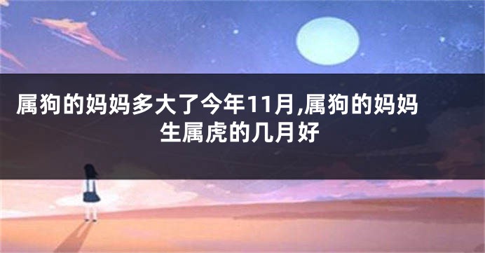 属狗的妈妈多大了今年11月,属狗的妈妈生属虎的几月好