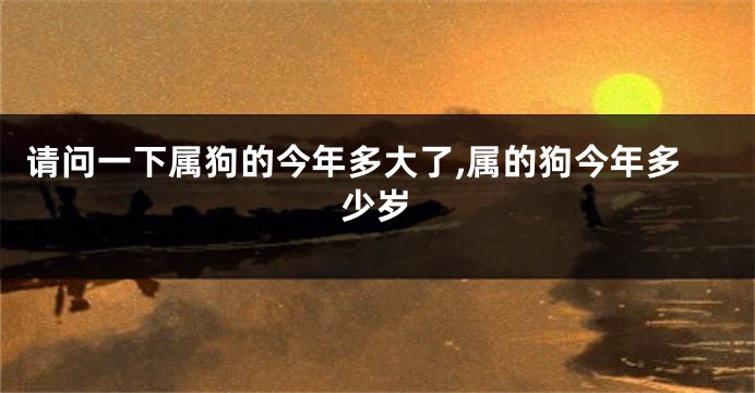 请问一下属狗的今年多大了,属的狗今年多少岁