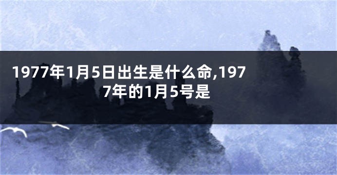 1977年1月5日出生是什么命,1977年的1月5号是