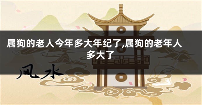 属狗的老人今年多大年纪了,属狗的老年人多大了