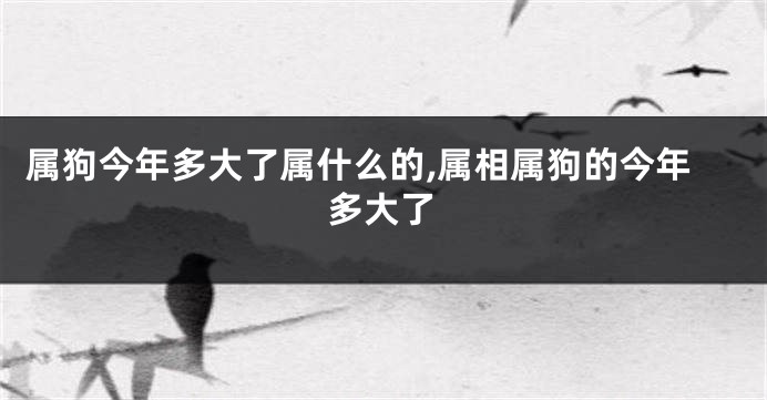属狗今年多大了属什么的,属相属狗的今年多大了