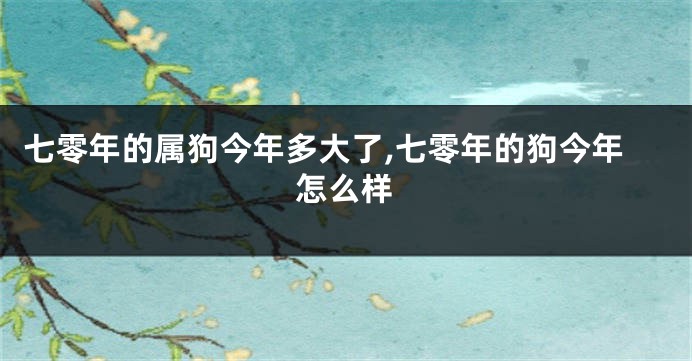 七零年的属狗今年多大了,七零年的狗今年怎么样