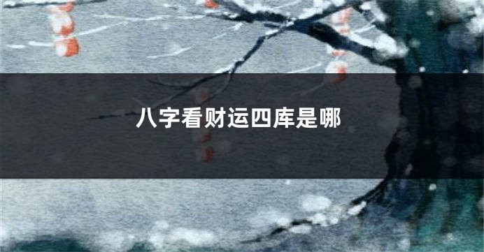 八字看财运四库是哪