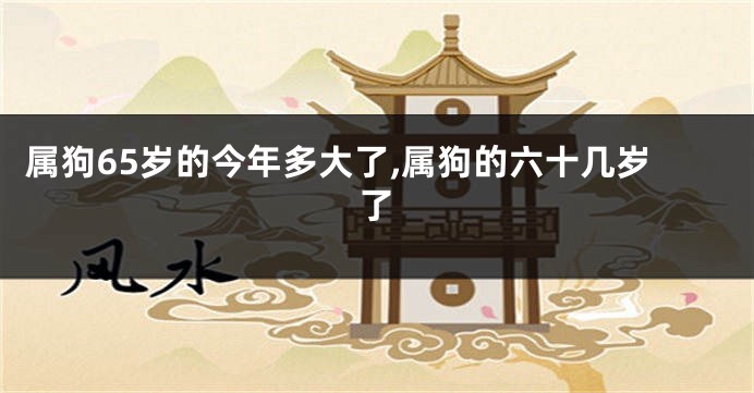 属狗65岁的今年多大了,属狗的六十几岁了