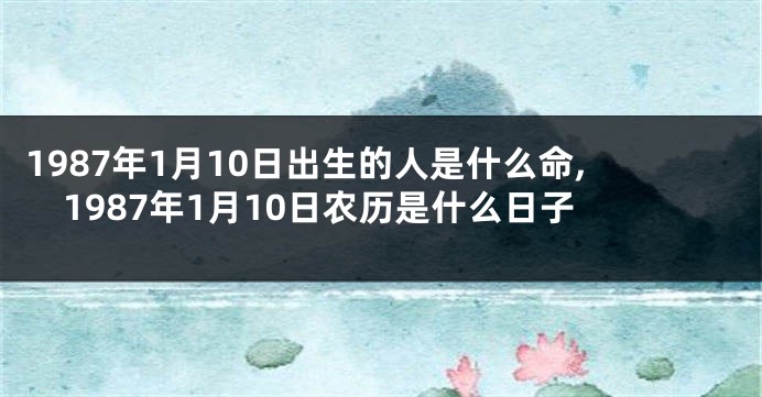 1987年1月10日出生的人是什么命,1987年1月10日农历是什么日子