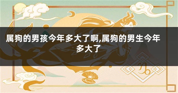 属狗的男孩今年多大了啊,属狗的男生今年多大了