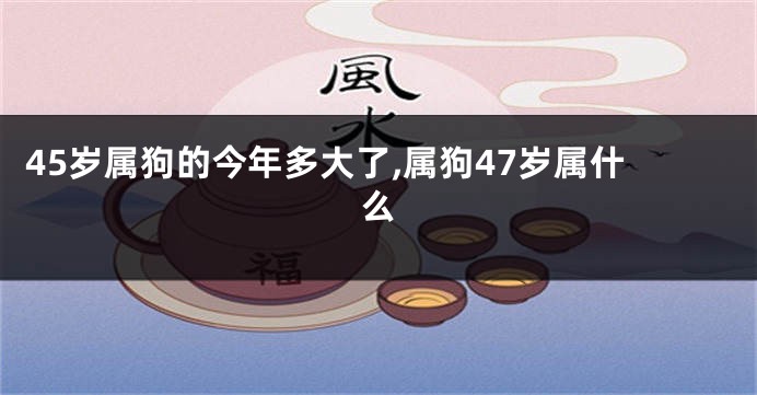 45岁属狗的今年多大了,属狗47岁属什么