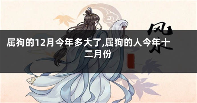 属狗的12月今年多大了,属狗的人今年十二月份