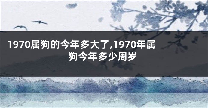1970属狗的今年多大了,1970年属狗今年多少周岁