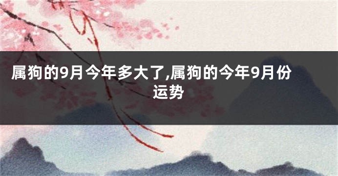 属狗的9月今年多大了,属狗的今年9月份运势