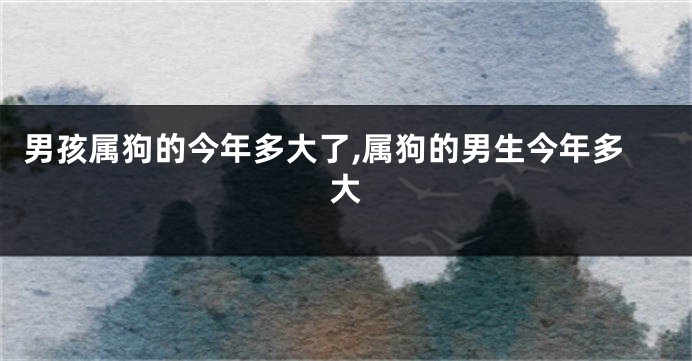 男孩属狗的今年多大了,属狗的男生今年多大