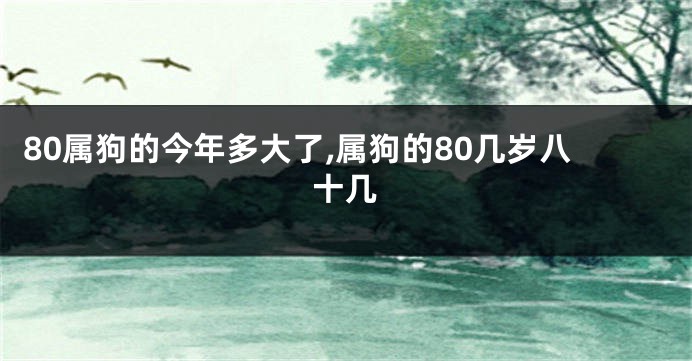 80属狗的今年多大了,属狗的80几岁八十几