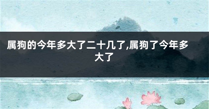 属狗的今年多大了二十几了,属狗了今年多大了