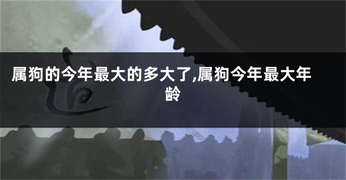 属狗的今年最大的多大了,属狗今年最大年龄