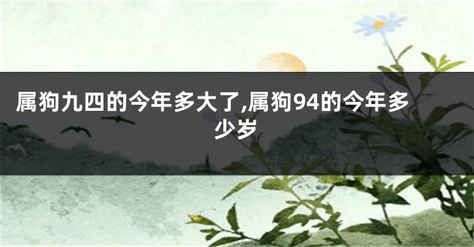 属狗九四的今年多大了,属狗94的今年多少岁
