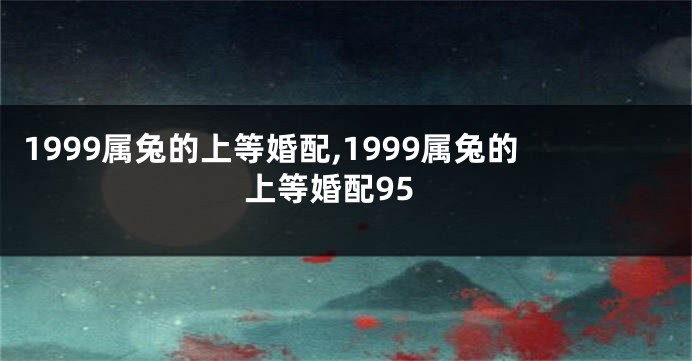 1999属兔的上等婚配,1999属兔的上等婚配95