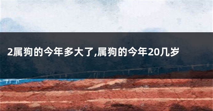 2属狗的今年多大了,属狗的今年20几岁