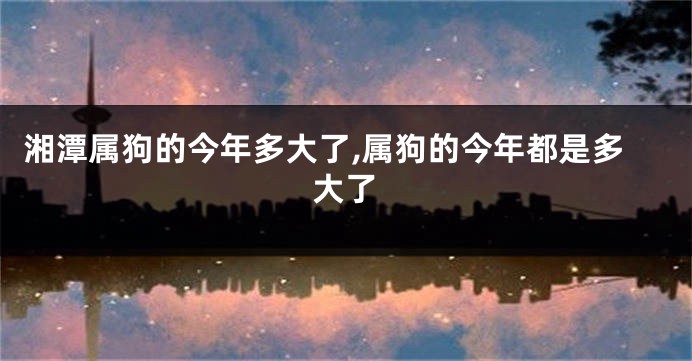 湘潭属狗的今年多大了,属狗的今年都是多大了