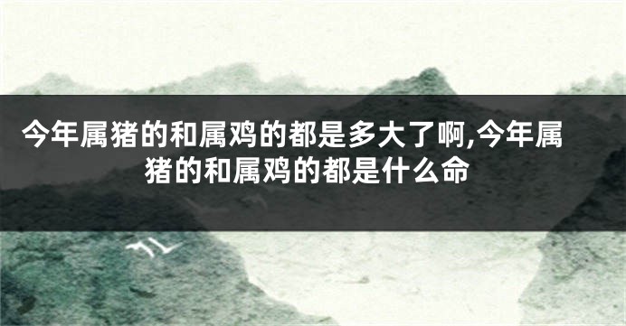 今年属猪的和属鸡的都是多大了啊,今年属猪的和属鸡的都是什么命