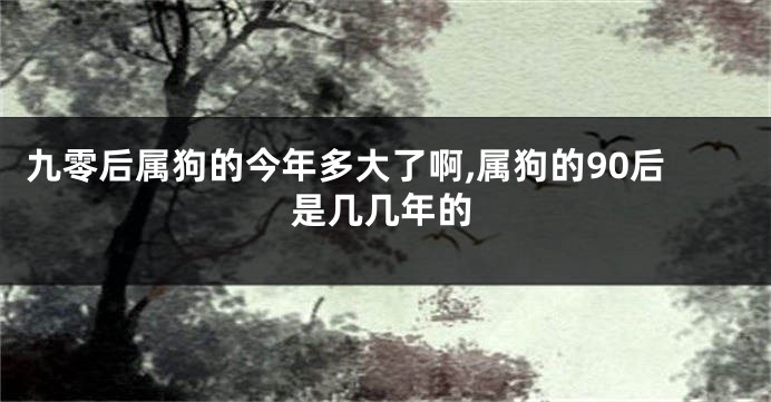 九零后属狗的今年多大了啊,属狗的90后是几几年的