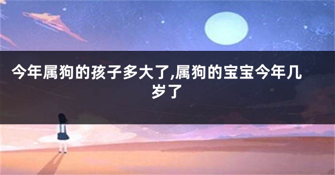 今年属狗的孩子多大了,属狗的宝宝今年几岁了