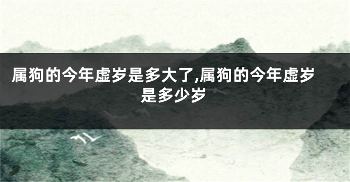 属狗的今年虚岁是多大了,属狗的今年虚岁是多少岁