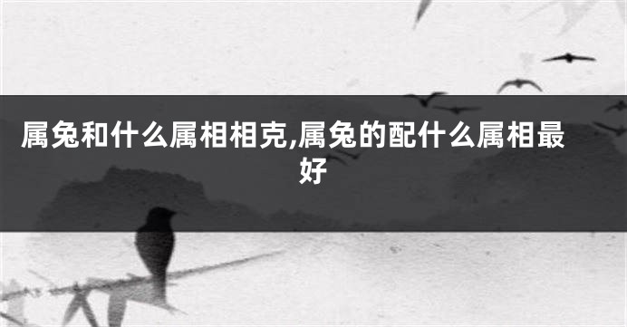 属兔和什么属相相克,属兔的配什么属相最好