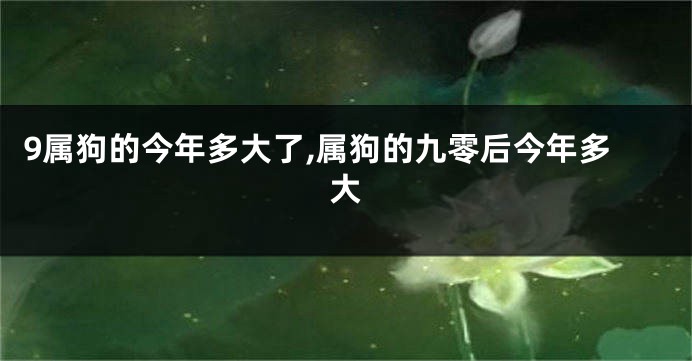 9属狗的今年多大了,属狗的九零后今年多大