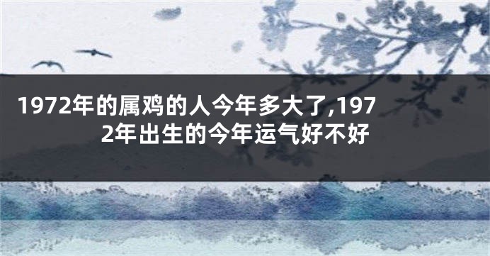 1972年的属鸡的人今年多大了,1972年出生的今年运气好不好