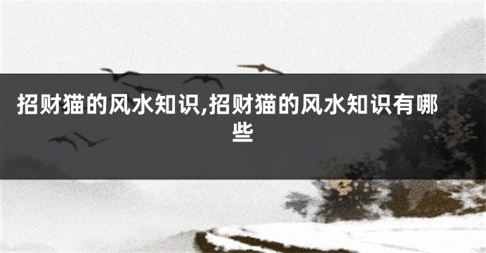 招财猫的风水知识,招财猫的风水知识有哪些
